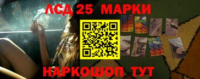 гидропоника Будённовск