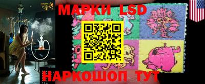 гидропоника Будённовск