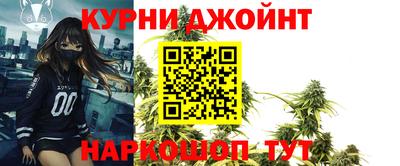 гидропоника Будённовск