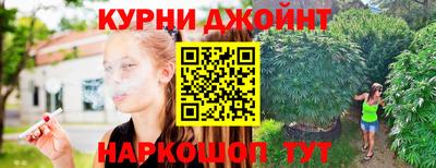 гидропоника Будённовск