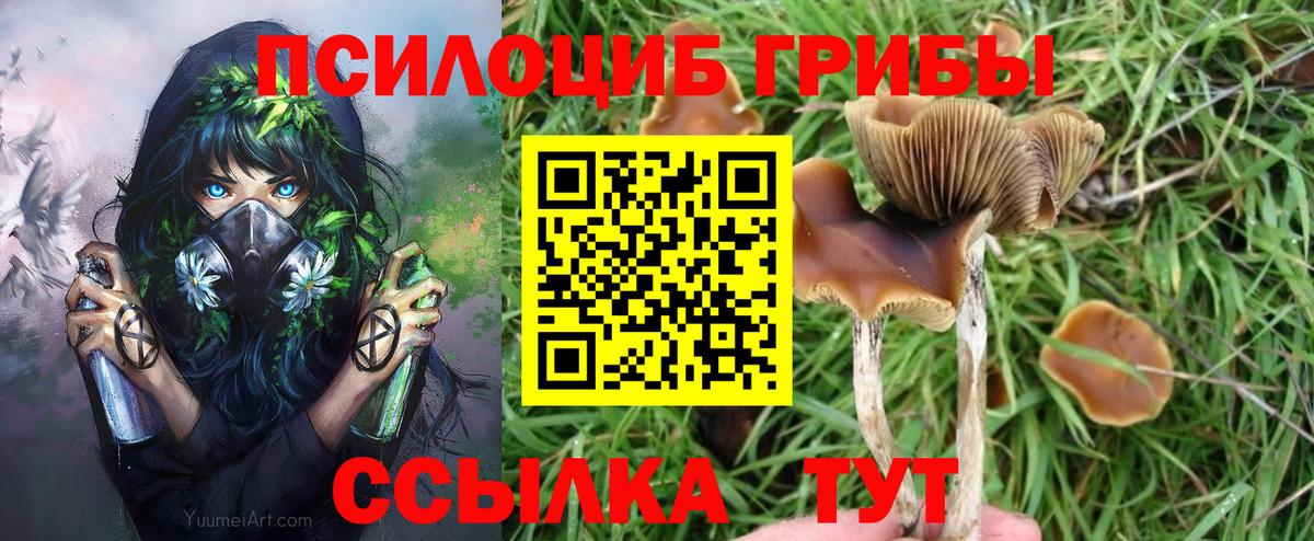 Псилоцибиновые грибы ЛСД  Вход с VPN  Кувандык 