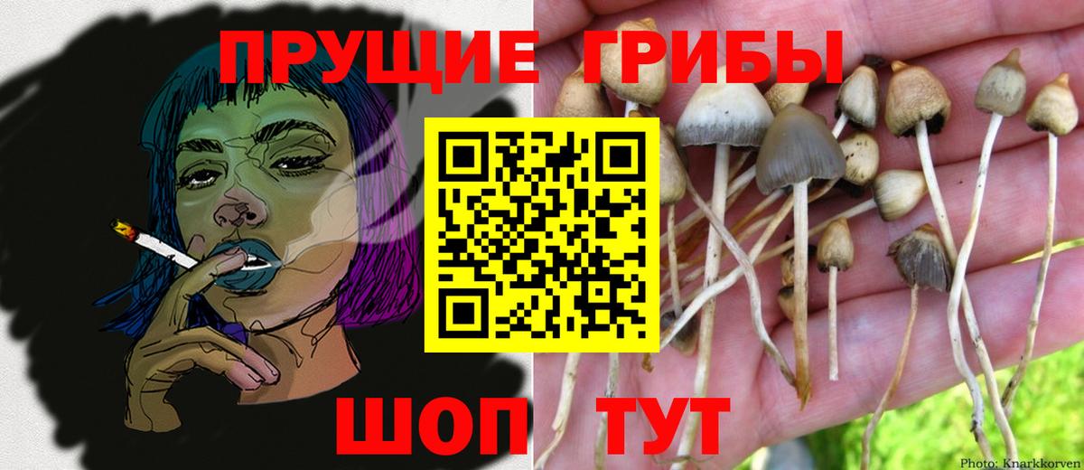 Галлюциногенные грибы мицелий Кувандык
