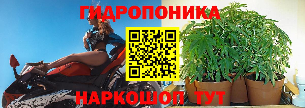 МАРИХУАНА семена  Канабис индика  Шишки марихуана конопля  Кувандык  Вход с VPN  Бошки Шишки White Widow 